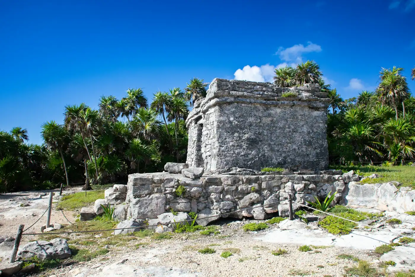 Stone ruins at Tulum on a cliff above the Caribbean Sea, with palm trees along the shore.