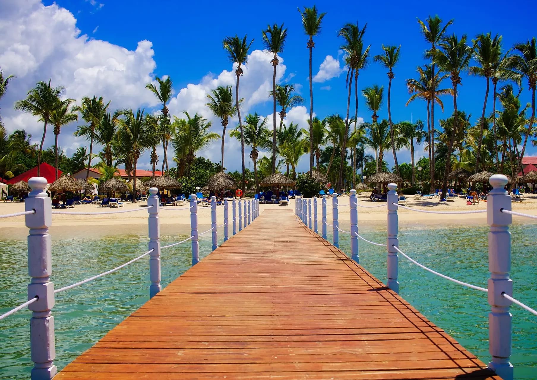 A wooden pier leading to a beach lined with palm trees in Punta Cana.